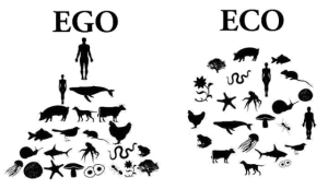 ego-eco