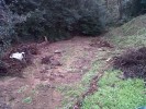 alluvione_oltreserchio_consorzio_padule_bientina1