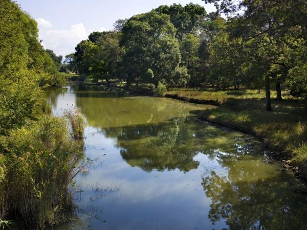 Giornata Mondiale Delle Aree Umide Le Iniziative Del Parco Naturale