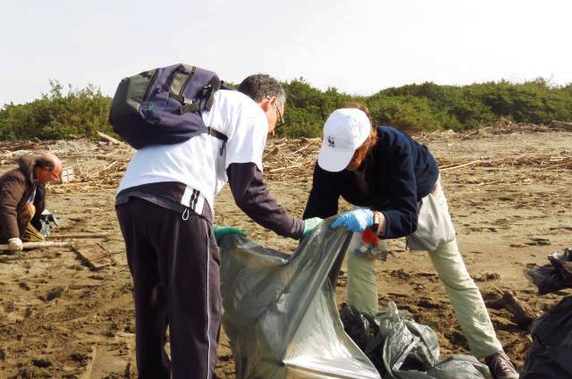 La giornata del fratino del WWF