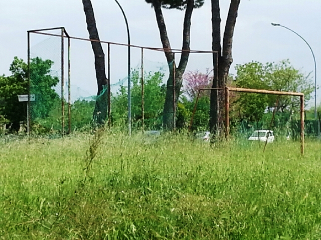 Erba alta ai giardini di via Luca D'Aosta a Castelfiorentino