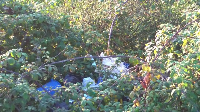 La discarica in via di Candiano