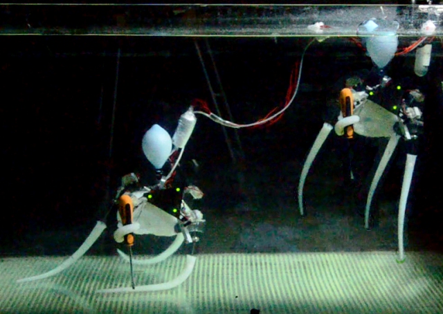 Alcune immagini dei robot ispirati al polpo dell’Istituto di BioRobotica della Scuola Superiore Sant’Anna