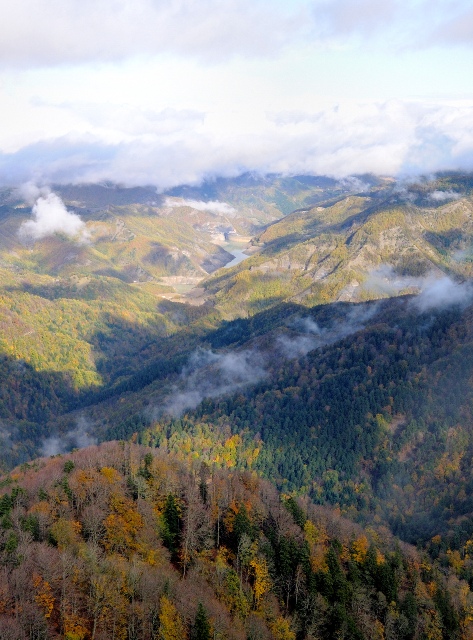 Diploma Wilderness Per Il Parco Delle Foreste Casentinesi Gonews It