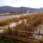 cascina_ponte_passaggio_piena_2014_01_31.jpg