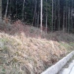 pescia_bosco_pontito_foto_legambiente_7