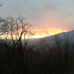 pescia_bosco_pontito_foto_legambiente_7