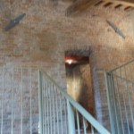 calcinaia_ex_fornace_coccapani_11