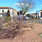 capraia_e_limite_incidente_viale_gramsci_2014_02_23_8