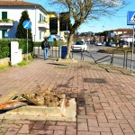 capraia_e_limite_incidente_viale_gramsci_2014_02_23_8