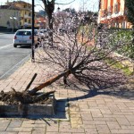 capraia_e_limite_incidente_viale_gramsci_2014_02_23_8