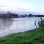 empoli_arno_piena_2014_02_11_9