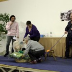 empoli_festa_cane_bastardino_2014_02_23_6