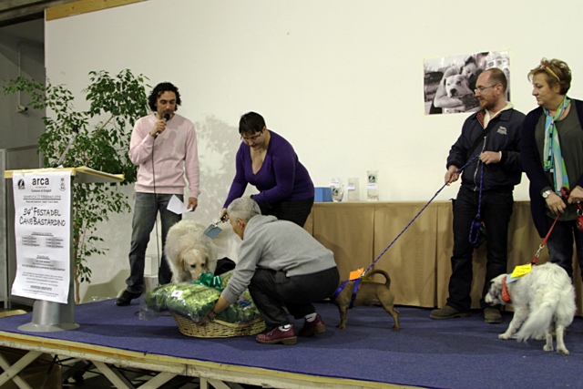 empoli_festa_cane_bastardino_2014_02_23_6