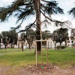 empoli_piazza_matteotti__6