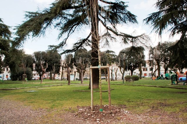 empoli_piazza_matteotti__6