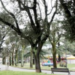 empoli_piazza_matteotti__6