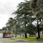 empoli_piazza_matteotti__6