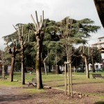 empoli_piazza_matteotti__6