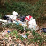 fucecchio_via_ramoni_discarica_abusiva_2014_02_15_12