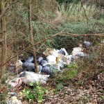 fucecchio_via_ramoni_discarica_abusiva_2014_02_15_12