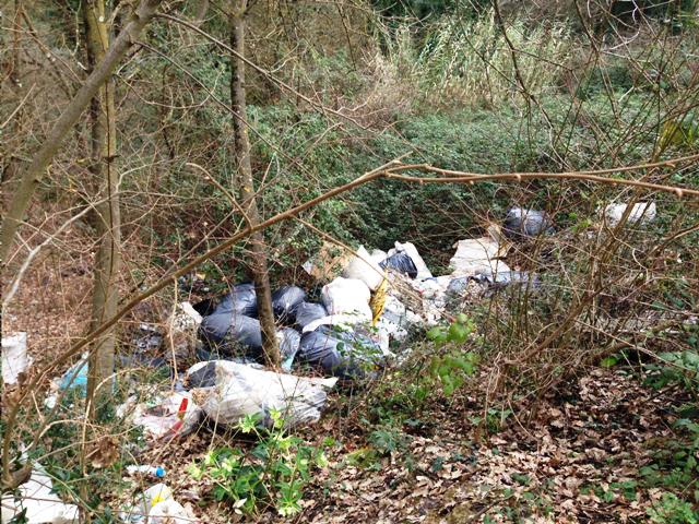 fucecchio_via_ramoni_discarica_abusiva_2014_02_15_12