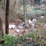 fucecchio_via_ramoni_discarica_abusiva_2014_02_15_12