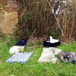 fucecchio_via_ramoni_discarica_abusiva_2014_02_15_12