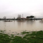 ponsacco_alluvione_2014_01_31_vigilfuoco_8.jpg