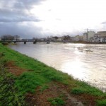 signa_arno_2014_02_11_2