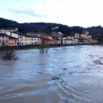 signa_arno_2014_02_11_2