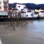 signa_arno_2014_02_11_2