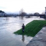 signa_arno_2014_02_11_2