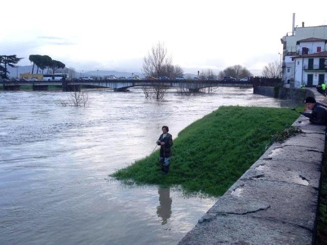 signa_arno_2014_02_11_2