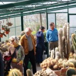 barberino_val_d_elsa_donazione_rotary_giardini_vico_2014_03_15_8.jpg