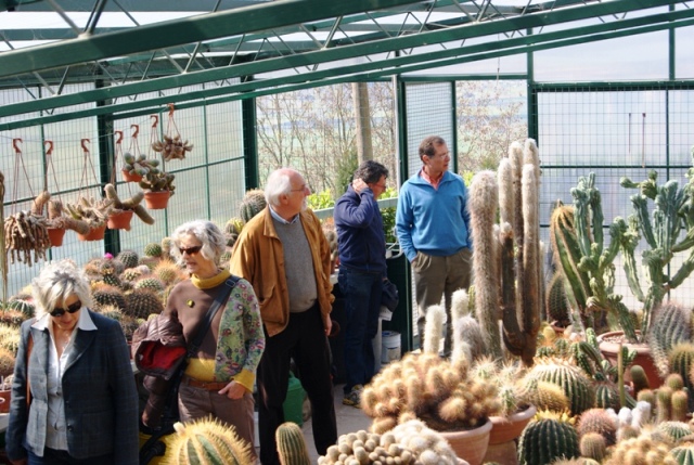 barberino_val_d_elsa_donazione_rotary_giardini_vico_2014_03_15_8.jpg