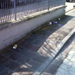 empoli_degrado_via_carrucci_via_susini_2014_03_17_1