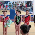 ginnastica_artistica_montelupo_pisa_metato_2014_03_23_1