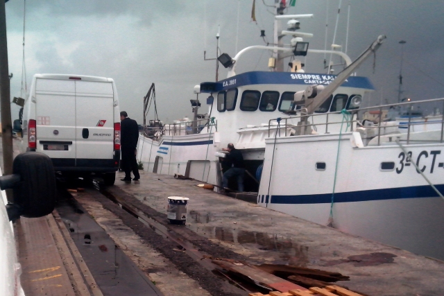 livorno_capitaneria_porto_sequestro_pesce_2014_03_05_7