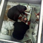 livorno_capitaneria_porto_sequestro_pesce_2014_03_05_7