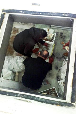 livorno_capitaneria_porto_sequestro_pesce_2014_03_05_7
