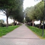 signa_diserbante_giardini_2014_03_19_3