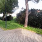signa_diserbante_giardini_2014_03_19_3