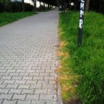 signa_diserbante_giardini_2014_03_19_3