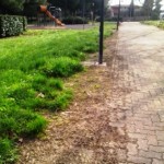 signa_diserbante_giardini_2014_03_19_3
