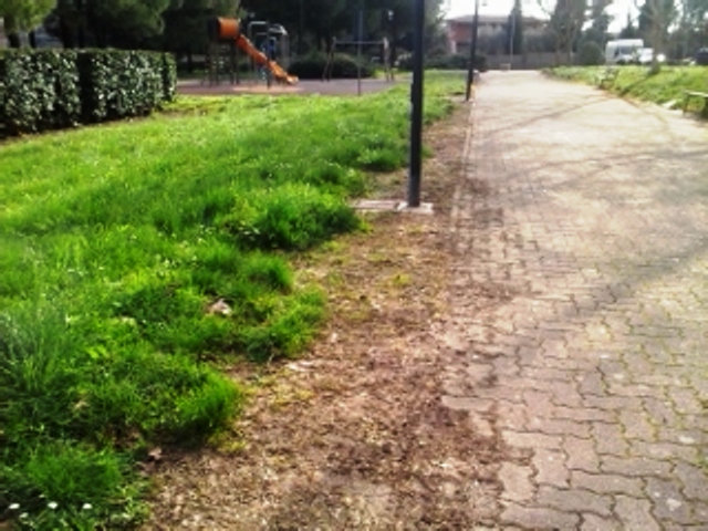 signa_diserbante_giardini_2014_03_19_3