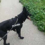 cane_unita_cinofile_polizia_cinofilo_droga